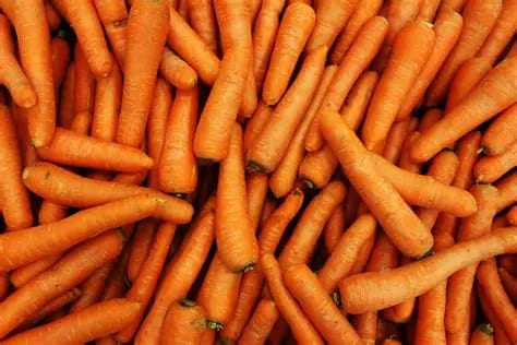 Carottes