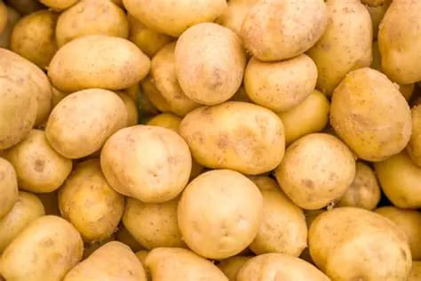 Pommes de terre