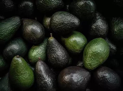 Avocats