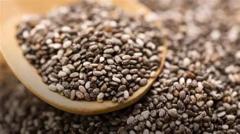 Graines de chia