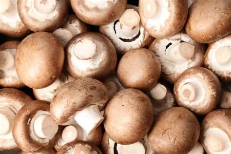 Champignons