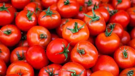 Tomate